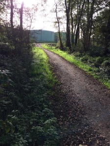 Ein Lichtstrahl weist den Weg zum Öltank