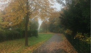 Trübes Herbstwetter am Morgen